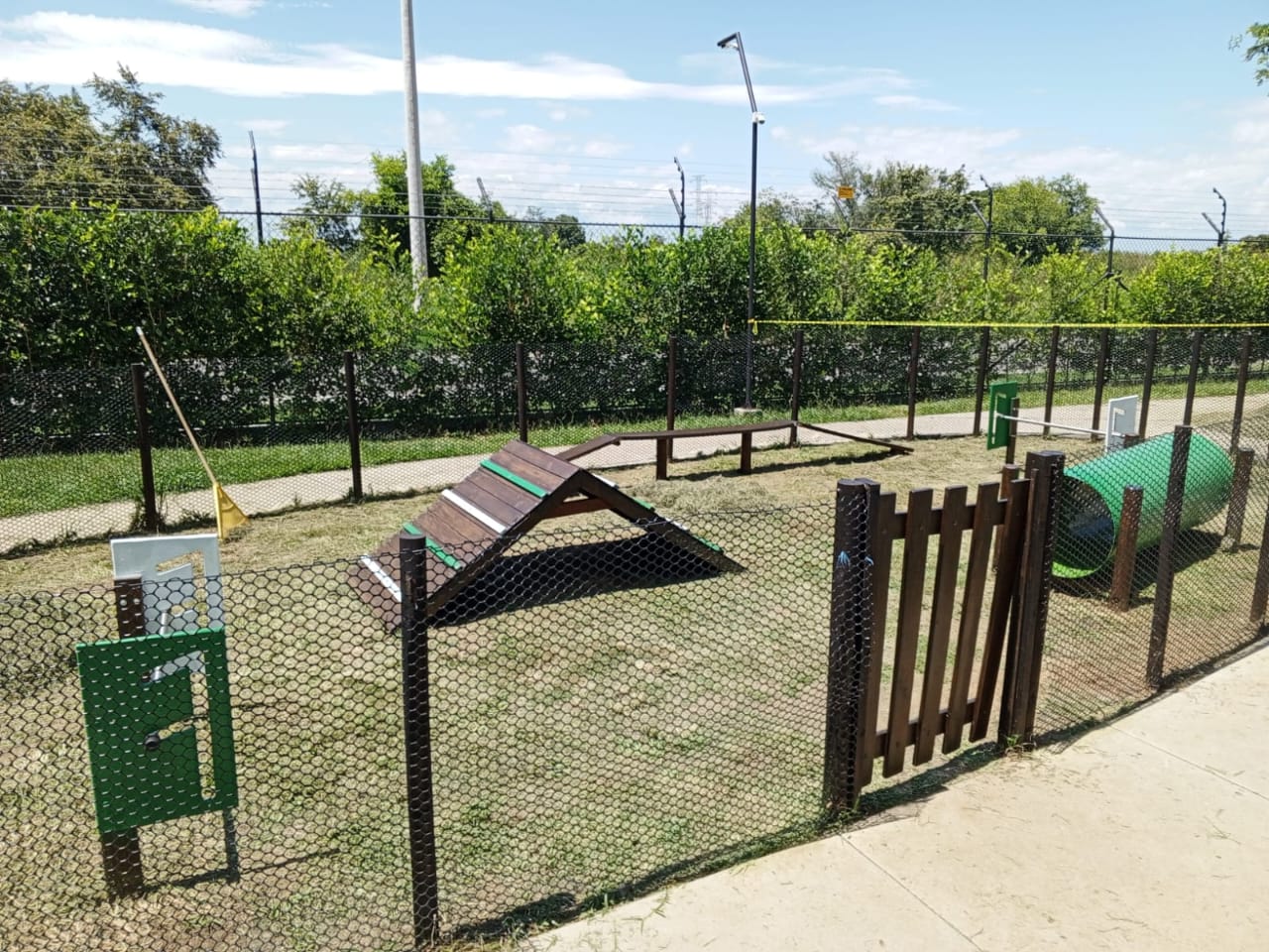 gray computer monitor